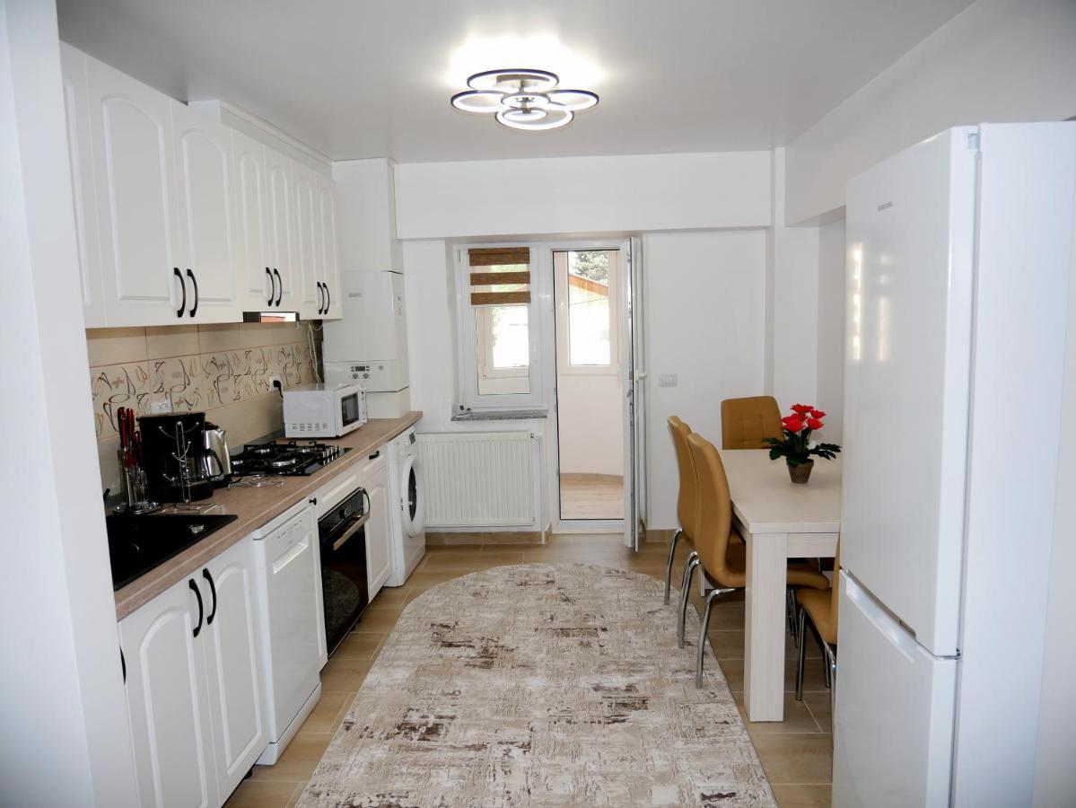 Apartament David Câmpulung Moldovenesc エクステリア 写真