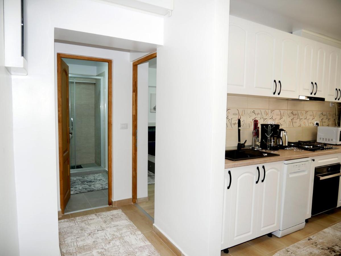 Apartament David Câmpulung Moldovenesc エクステリア 写真