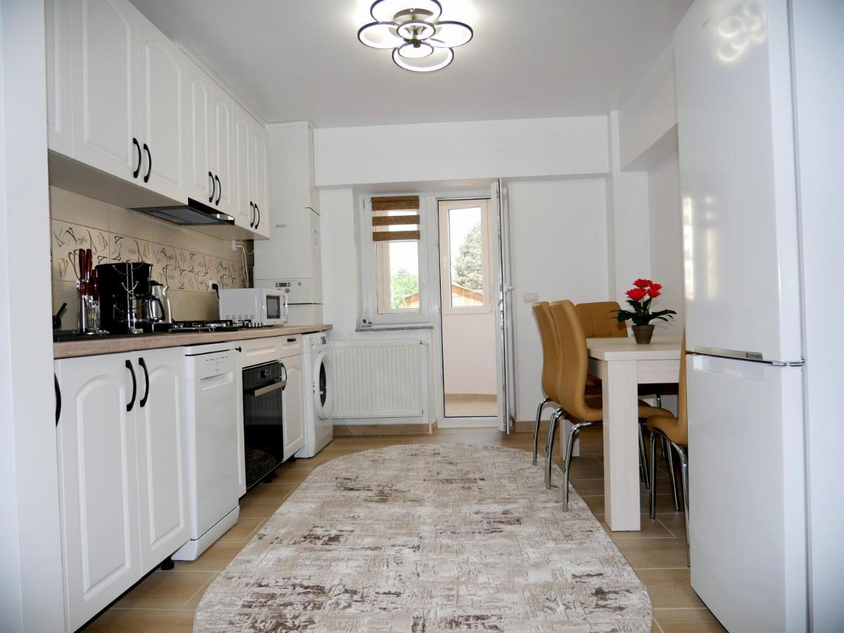 Apartament David Câmpulung Moldovenesc エクステリア 写真